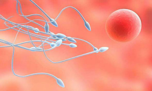 淋病是否影响男性的精子质量？