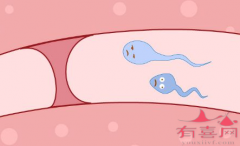 <b>邯郸助孕中介高端群：输卵管近端堵塞会导致不</b>